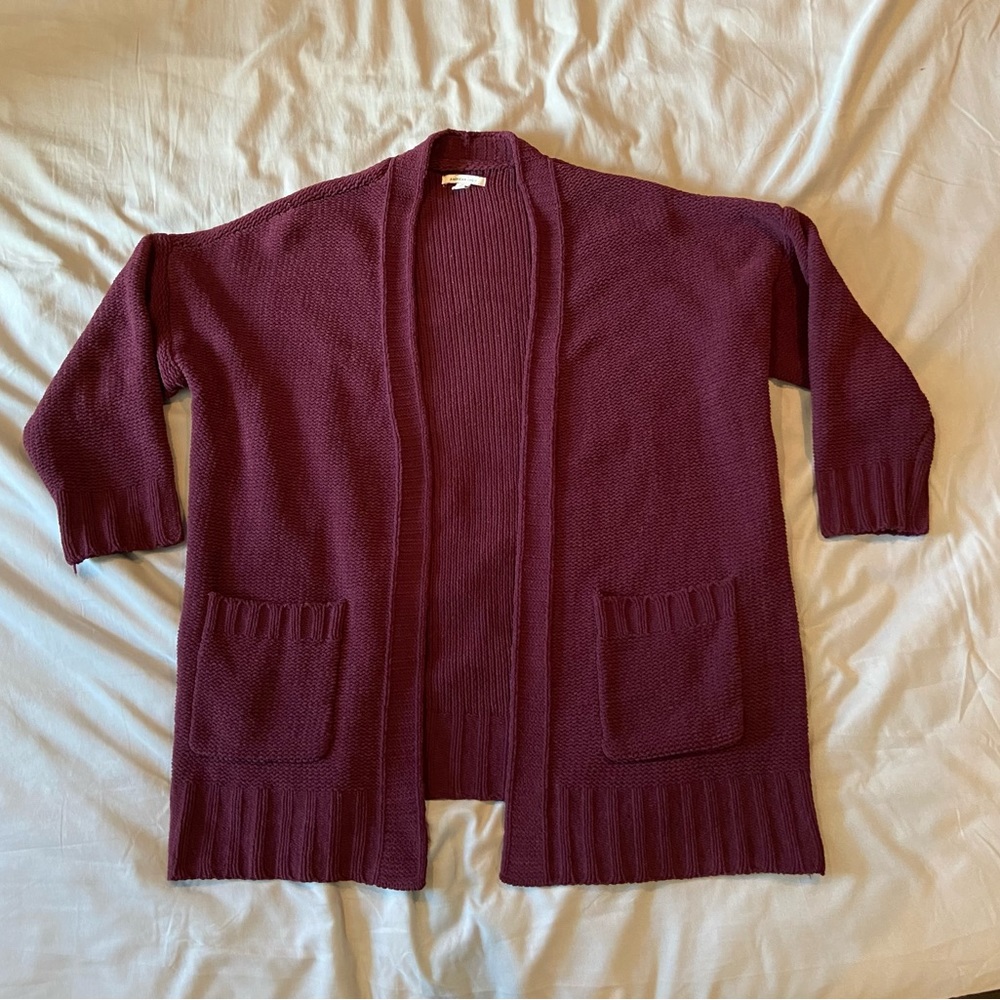 American Eagle Cartigan